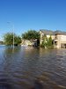 IMG-20170830-WA0074.jpg