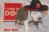 BOO boo 17-08-30-00278x.jpg