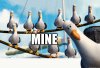 Mine Seagulls.jpg