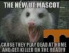 image1.jpeg