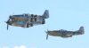 Mustangs_0021.jpg