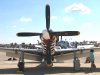 Mustangs_0033.jpg