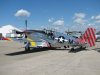 Mustangs_0044.jpg