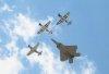 Mustangs_0050.jpg
