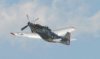 Mustangs_0051.jpg