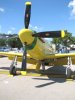 Mustangs_0056.jpg