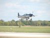 Mustangs_0194.jpg