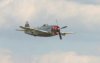 Mustangs_0197.jpg