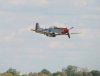 Mustangs_0203.jpg