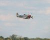 Mustangs_0204.jpg