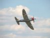 Mustangs_0212.jpg