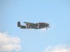 Mustangs_0231.jpg