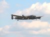 Mustangs_0247.jpg