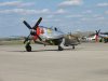 Mustangs_0267.jpg