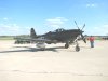 Mustangs_0271.jpg