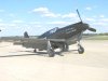 Mustangs_0273.jpg