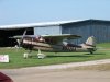 Mustangs_0023.jpg