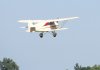 Mustangs_0025.jpg