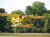 Mustangs_0044.jpg