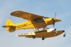Mustangs_0045.jpg