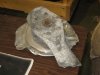 heath_prop (Large).jpg