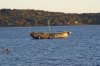 Rockland Breakwater Forgot Yacht.jpg