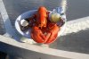 IWI Lobster Bake_2.jpg