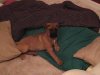 PIC_0008.JPG