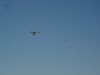 DSC01231.JPG