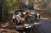 Georgetown Tree Removal2.jpg