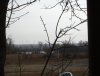 View of the wind turbines from the deck.JPG