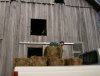 Hay bales from the barn.JPG