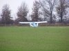 Winter wheat.jpg