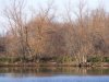 The lake.JPG