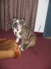IMG_0126.jpg