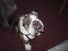 IMG_0129.jpg