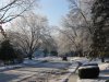 Ice Storm 12.07 010.JPG