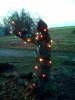 Charlie Brown tree.jpg