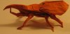 IMG_0776s.jpg
