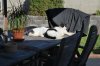 DSC_0050.JPG DSC_0050.JPG