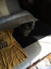 cat.jpg cat.jpg
