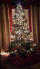 tree.PNG tree.PNG