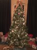 IMG_1317.JPG