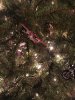IMG_1318.JPG