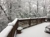 IMG_3116.JPG IMG_3116.JPG