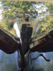 B54DE314-1D74-4C3D-B44F-BAE74CA81E8F.png B54DE314-1D74-4C3D-B44F-BAE74CA81E8F.png