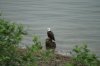 DSC01521.JPG