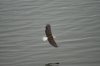 DSC01525.JPG