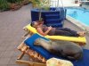 SealofApproval.jpg SealofApproval.jpg