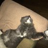snoozed_6766.jpg snoozed_6766.jpg